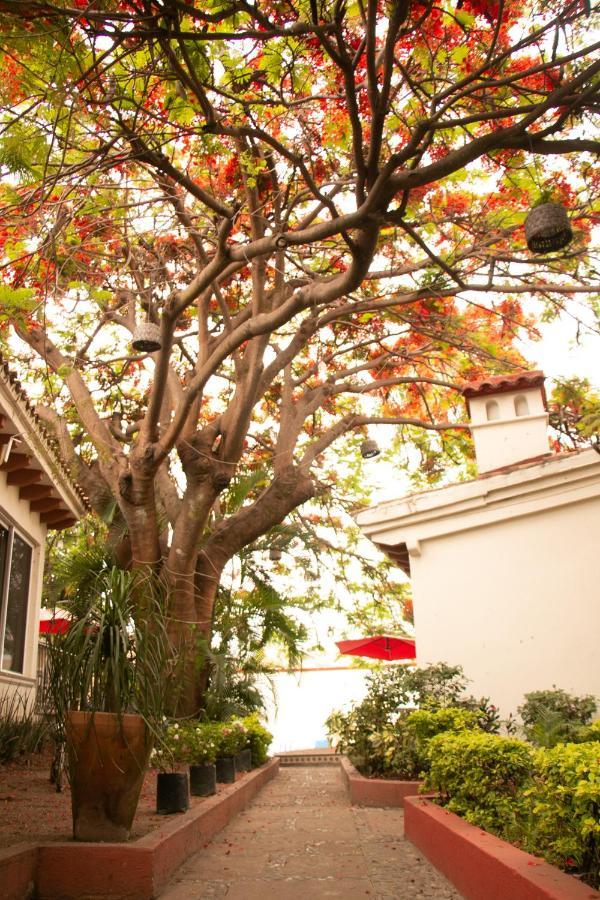 Hotel Casa Maria Emilia Cuernavaca Zewnętrze zdjęcie